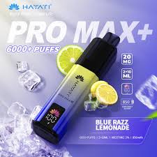 Hayati Pro Max Plus 6000 Vape Kit
