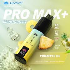 Hayati Pro Max Plus 6000 Prefilled Pod Kit