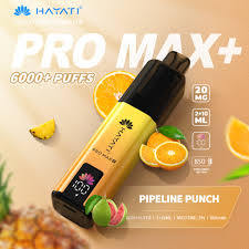 Hayati Pro Max Plus 6000 Prefilled Pod Kit