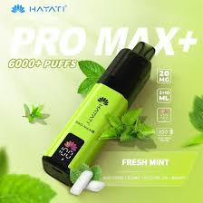 Hayati Pro Max Plus 6000 Prefilled Pod Kit