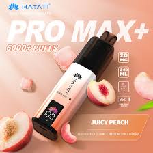 Hayati Pro Max Plus 6000 Prefilled Pod Kit