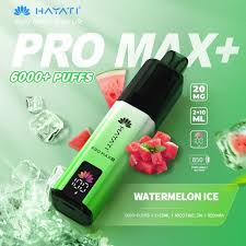 Hayati Pro Max Plus 6000 Vape Kit