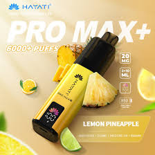 Hayati Pro Max Plus 6000 Vape Kit
