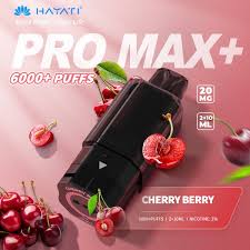 Hayati Pro Max Plus 6000 Prefilled Pods