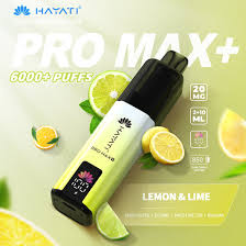 Hayati Pro Max Plus 6000 Prefilled Pod Kit