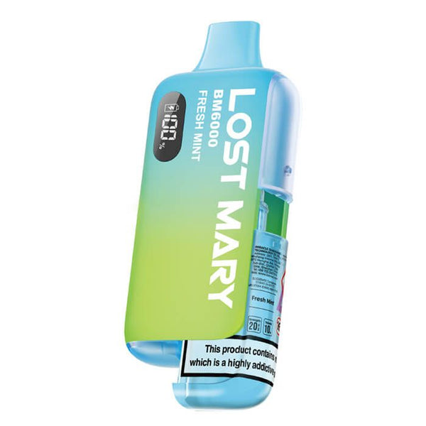 Lost Mary BM6000 Prefilled Pod Kit